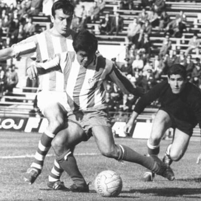 1359557888_226444_1359558114_noticia_grande