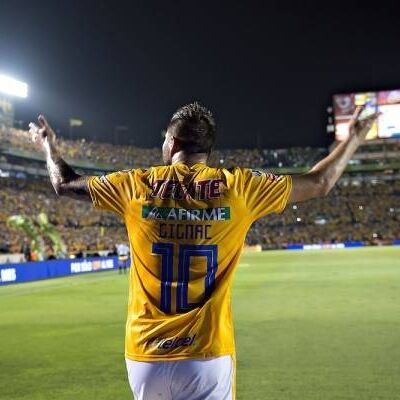 tigres
