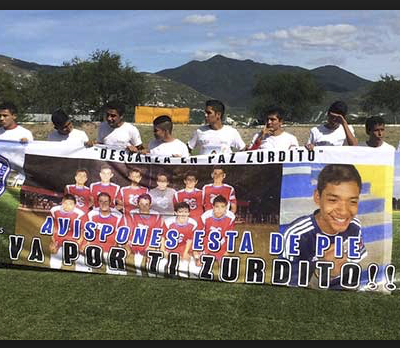 Avispones de Chilpancingo