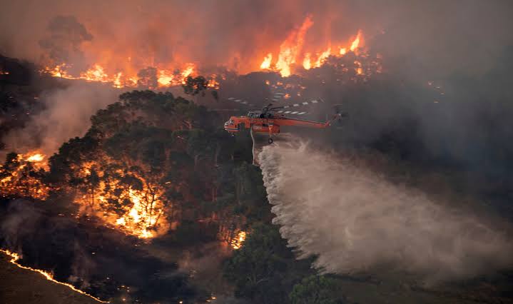 futbol y los incendios en Australia