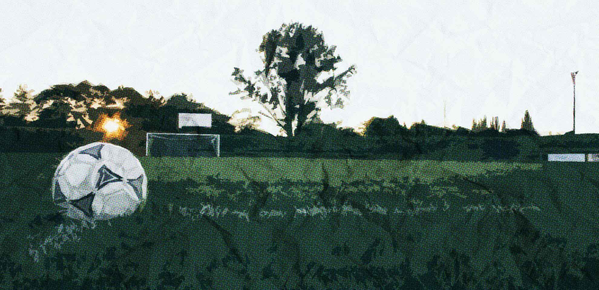 Innovaciones tecnológicas