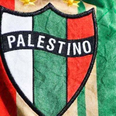Club Deportivo Palestino