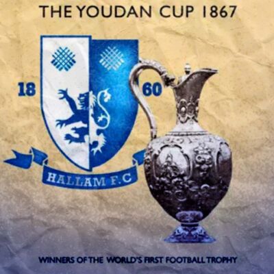 youdan cup